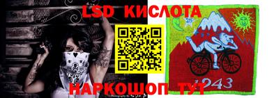 гашик Ярцево