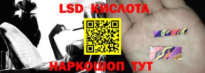 стафф Ярославль
