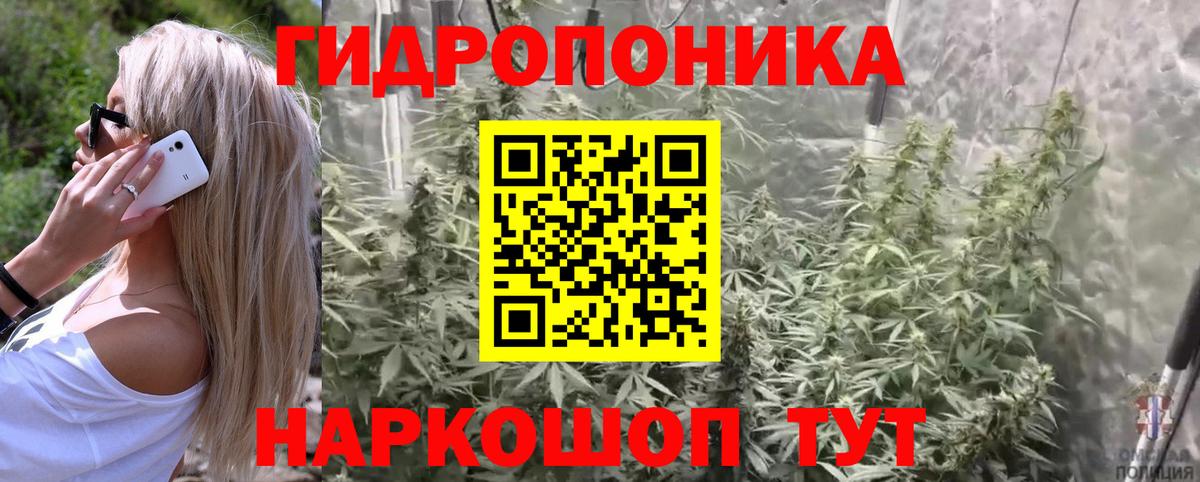 Кокаин  Кимры  Меф кристаллы  ЭКСТАЗИ  Каннабис  ГАШИШ  Вход с VPN 